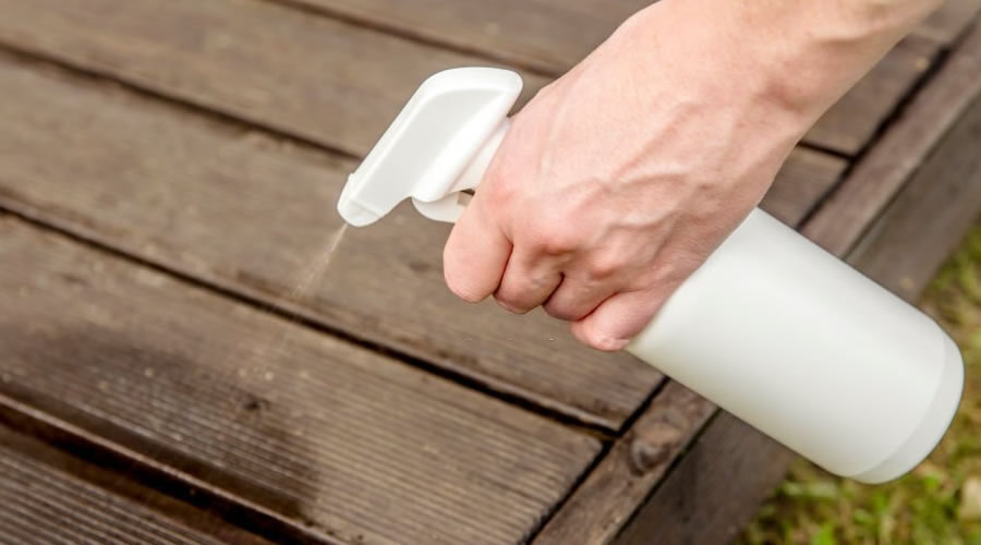 Top 10 Eco-Friendly Pest Control Tips